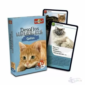 CARTAS GATOS