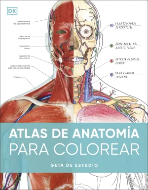 ATLAS DE ANATOMIA PARA COLOREAR ATLAS DE ANATOMIA PARA COLOREAR