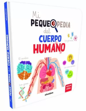 CUERPO HUMANO