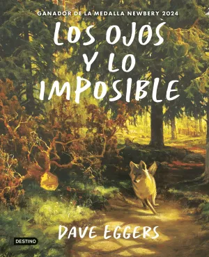 OJOS Y LO IMPOSIBLE, LOS