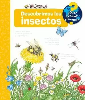 ¿QUE?... DESCUBRIMOS LOS INSECTOS ¿QUE?... DESCUBRIMOS LOS INSECTOS
