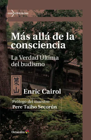 MÁS ALLÁ DE LA CONSCIENCIA MÁS ALLÁ DE LA CONSCIENCIA