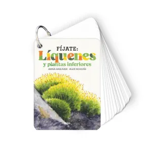 FÍJATE: LÍQUENES Y PLANTAS INFERIORES FÍJATE: LÍQUENES Y PLANTAS INFERIORES