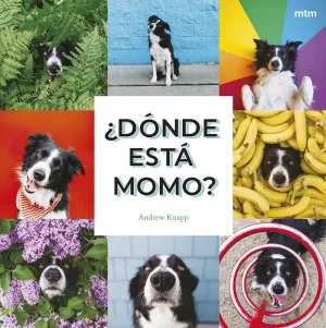 ¿DÓNDE ESTÁ MOMO?