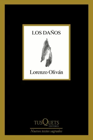 LOS DAÑOS