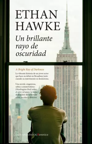 UN BRILLANTE RAYO DE OSCURIDAD UN BRILLANTE RAYO DE OSCURIDAD