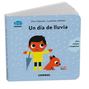 UN DÍA DE LLUVIA UN DÍA DE LLUVIA