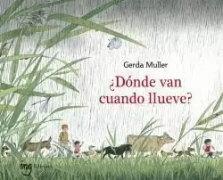 ¿DÓNDE VAN CUANDO LLUEVE?