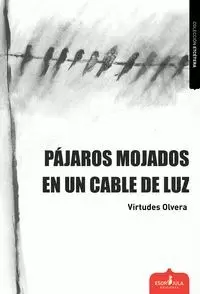 PAJAROS MOJADOS EN UN CALBE DE LUZ