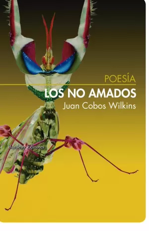 LOS NO AMADOS LOS NO AMADOS