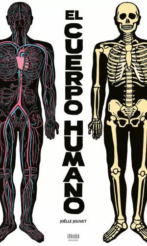 EL CUERPO HUMANO EL CUERPO HUMANO