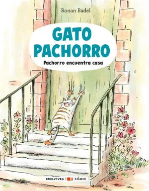 GATO PACHORRO : PACHORRO ENCUENTRA CASA GATO PACHORRO : PACHORRO ENCUENTRA CASA