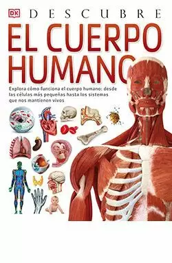 EL CUERPO HUMANO, DESCUBRE