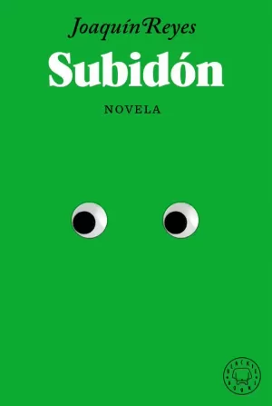 SUBIDÓN