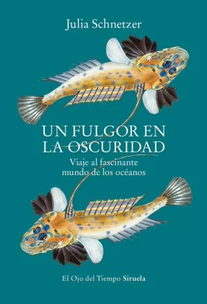 FULGOR EN LA OSCURIDAD, UN FULGOR EN LA OSCURIDAD, UN