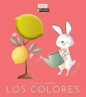COLORES TOCA Y SIENTE COLORES TOCA Y SIENTE