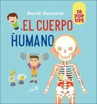 CUERPO HUMANO