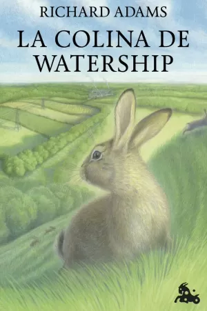 POL-54384 LA COLINA DE WATERSHIP