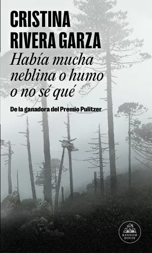 HABÍA MUCHA NEBLINA O HUMO O NO SÉ QUÉ