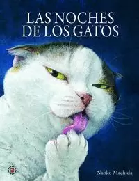 LAS NOCHES DE LOS GATOS