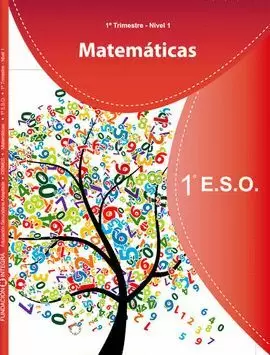 1 ESO MATEMÁTICAS 1T (NIVEL 1)