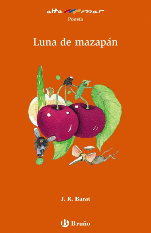 LUNA DE MAZAPAN