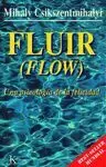 FLUIR (FLOW) FLUIR (FLOW)