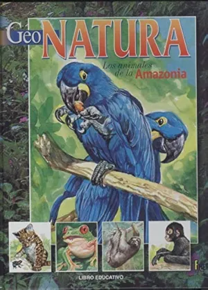 LOS ANIMALES DE LA AMAZONIA LOS ANIMALES DE LA AMAZONIA
