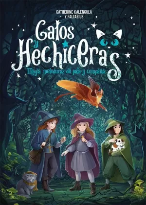 GATOS Y HECHICERAS GATOS Y HECHICERAS