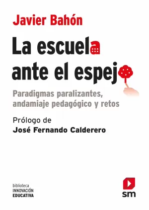 LA ESCUELA ANTE EL ESPEJO LA ESCUELA ANTE EL ESPEJO