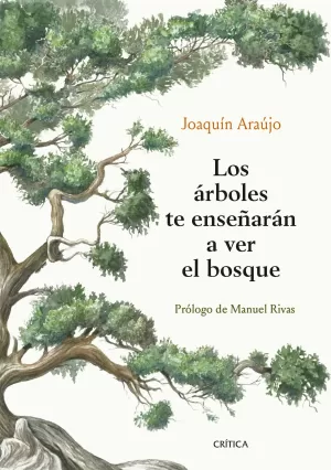 LOS ÁRBOLES TE ENSEÑARÁN A VER EL BOSQUE