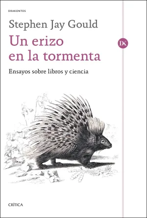 UN ERIZO EN LA TORMENTA