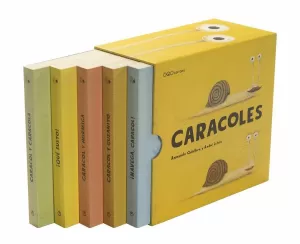 CAJA CARACOLES CAJA CARACOLES