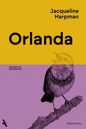 ORLANDA ORLANDA