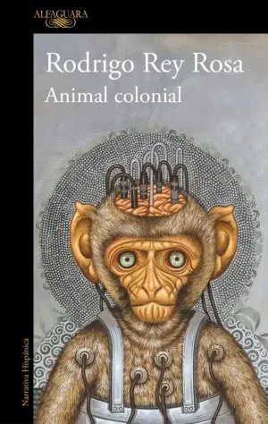 ANIMAL COLONIAL ANIMAL COLONIAL